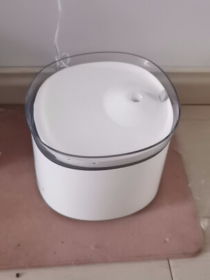 宠物饮水机