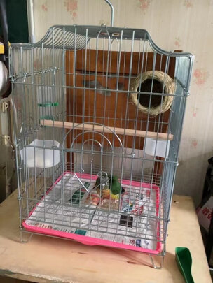 鸟笼