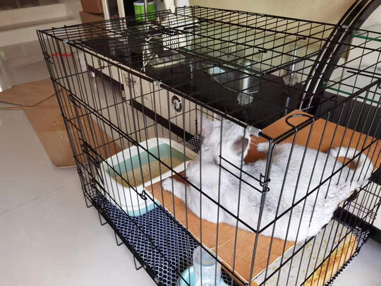  猫笼