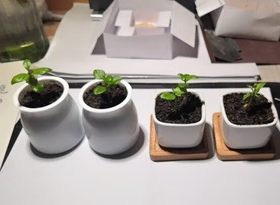 植物生长灯
