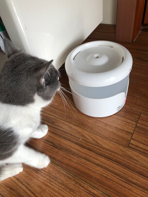 宠物饮水机