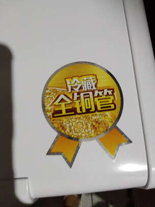 冰柜|澳柯玛BCD-166CNE冰柜怎么样评测分析结果告知！