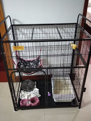  猫笼