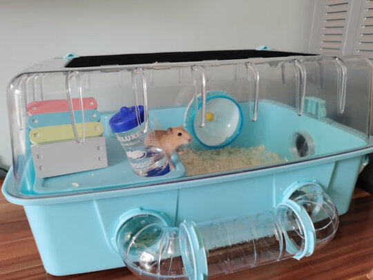 仓鼠水壶