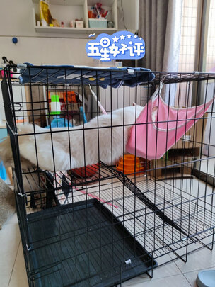  猫笼