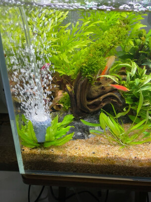 鱼缸氧气泵