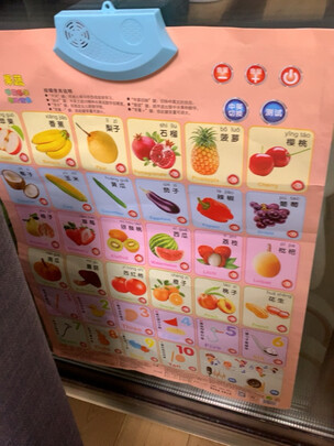 乐乐鱼5张组合套装 人物篇、动物篇、拼音篇、蔬菜水果篇、认数字篇质量诉说体验后讲一讲感受