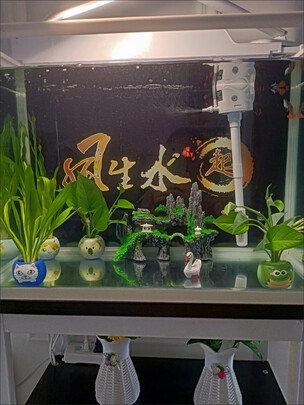 鱼缸造景石头
