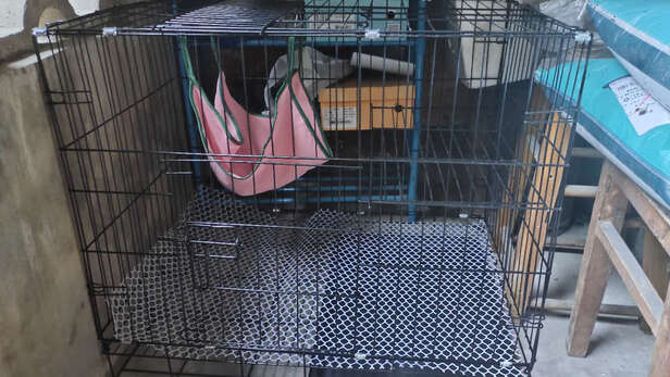 猫笼