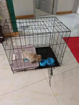  狗笼