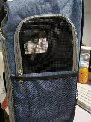 猫包