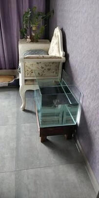 桌面鱼缸