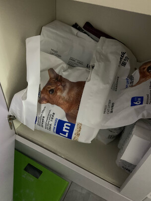 豆腐猫砂