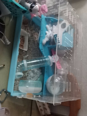 仓鼠水壶