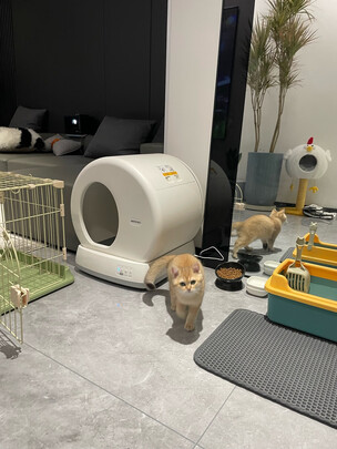猫砂铲