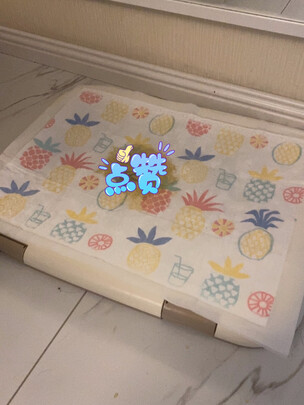 宠物尿垫