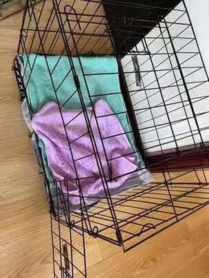  狗笼