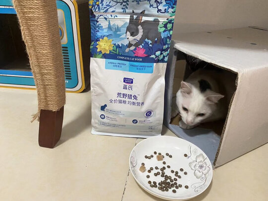 猫粮