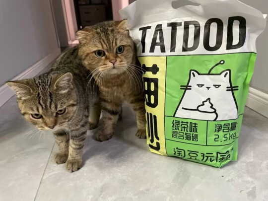 猫砂