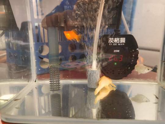 鱼缸加热棒