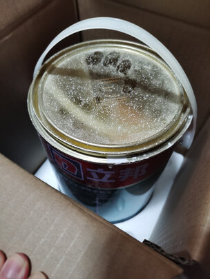 乳胶漆|立邦立邦儿童漆 5L乳胶漆到底怎么样，参数如何！
