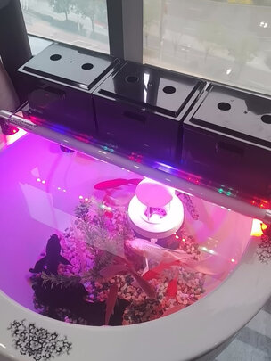 鱼缸灯led灯