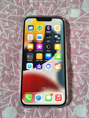 AppleiPhone 13评判质量差有依据吗？