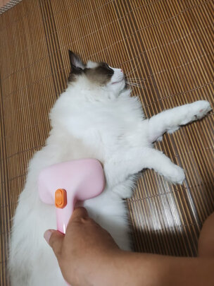 狗毛猫毛清理器