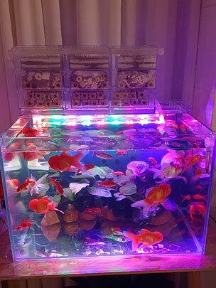 鱼缸灯led灯