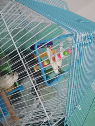 鸟笼