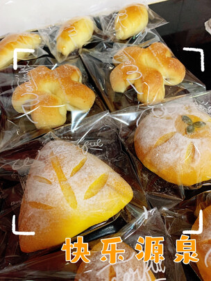 卡士CO750S蒸烤箱|卡士CO750S蒸烤箱怎么样评测分析结果告知！