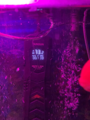 鱼缸加热棒