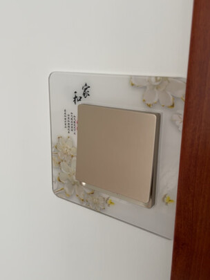 飞利浦 PHILIPS 昕皓二位电脑电视(5-850MHz)插座 香槟金电脑电视913713983101 