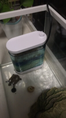 鱼缸过滤器