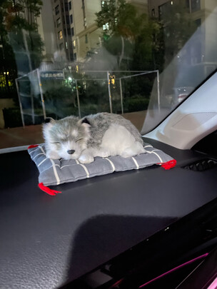 汽车摆件
