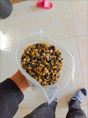 鱼缸造景石头