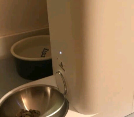 猫碗狗碗