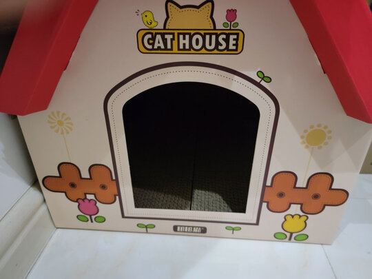 猫窝