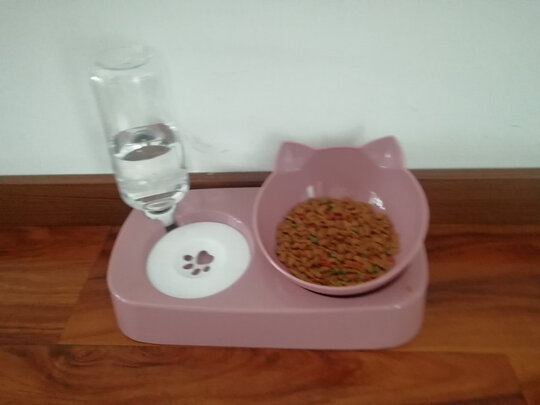 猫碗狗碗