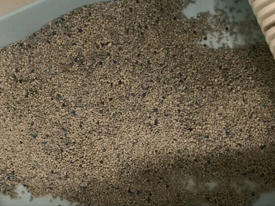 膨润土猫砂