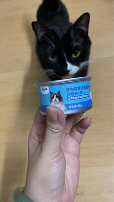 猫条猫零食