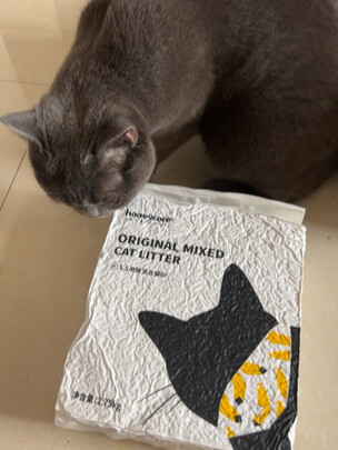 豆腐猫砂