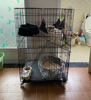  猫笼