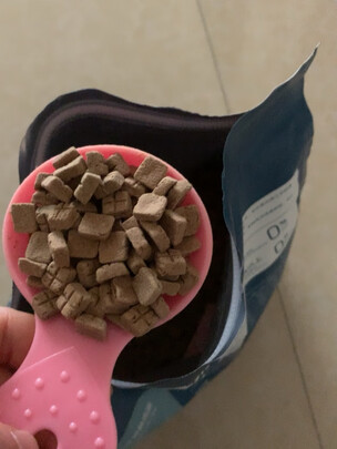 狗粮
