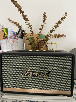 MARSHALL ACTON II BLUETOOTH究竟好不好呀？做工够好吗，颜值够高吗？