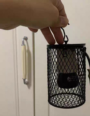 鸟笼
