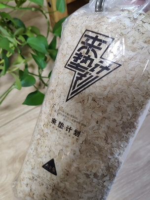 仓鼠木屑