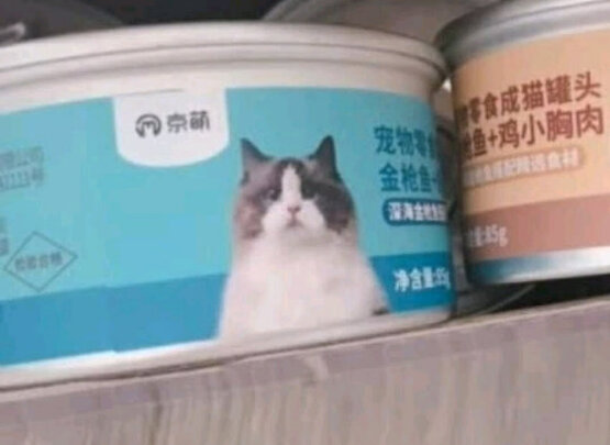 猫条猫零食