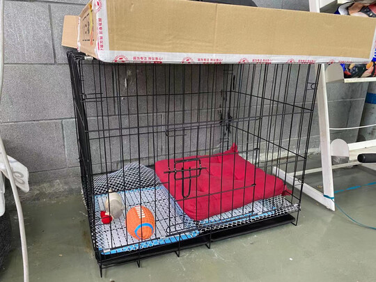 猫笼