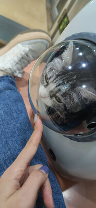 猫包
